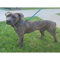 Photo of *DARBY