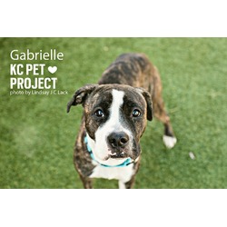 Thumbnail photo of Gabrielle #1