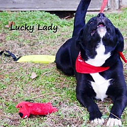 Thumbnail photo of Lucky lady meet me 1/22 #2