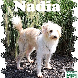 Thumbnail photo of Nadia #3