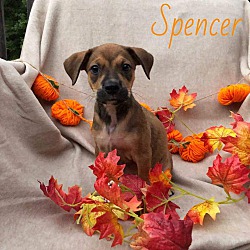 Photo of Spencer