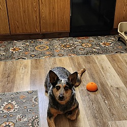 Photo of Maggie