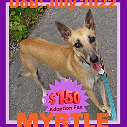 Photo of MYRTLE - $150