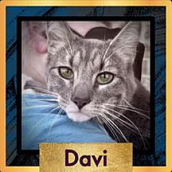 Photo of Davi