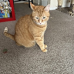 Photo of Leo