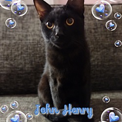 Photo of John Henry