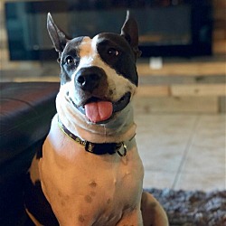 Thumbnail photo of Grace #3