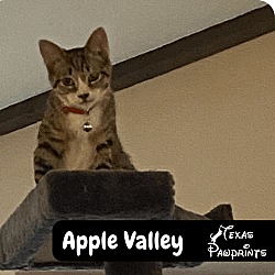 Photo of Apple Valley