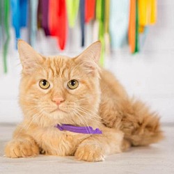 Photo of Frisco