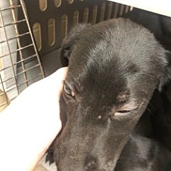 Photo of Tuck 26444