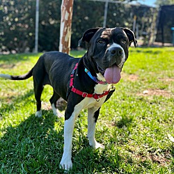 Photo of Suri Elise