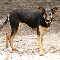Photo of AnnaMae