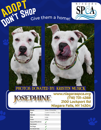 Thumbnail photo of Josephine #2