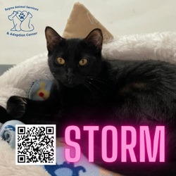 Thumbnail photo of Storm #1