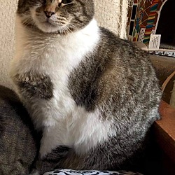 Photo of Gus