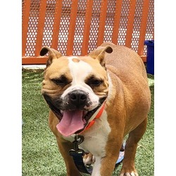 Photo of *SASHA