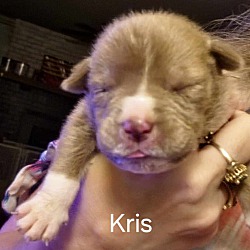 Photo of Kris