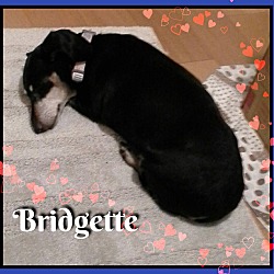 Thumbnail photo of Bridgette #3