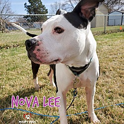 Thumbnail photo of Nova Lee #2