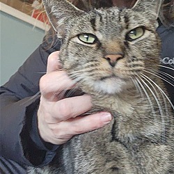 Photo of Buddy