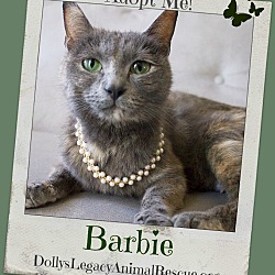 Thumbnail photo of BARBIE #1