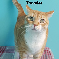 Thumbnail photo of Traveler #2