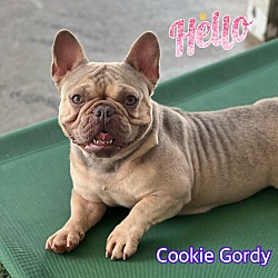 Photo of Cookie Gordy