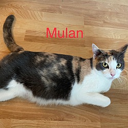 Thumbnail photo of Mulan #2