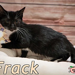 Photo of Frack