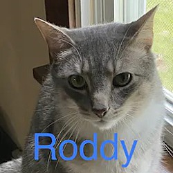Thumbnail photo of Roddy #3