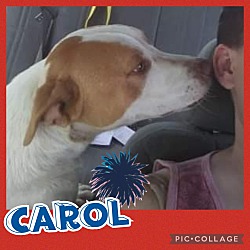 Photo of CAROL