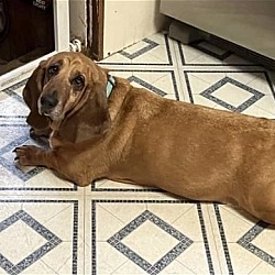 Photo of Lucy
