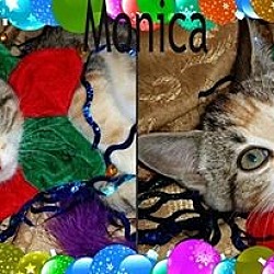 Thumbnail photo of Monica #2