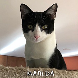 Photo of Matilda