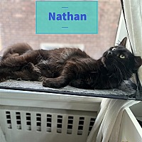 Photo of Nathan