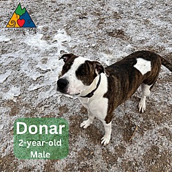 Thumbnail photo of Donar #3