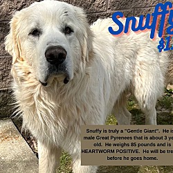Photo of Snuffy