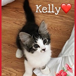 Photo of Kelly