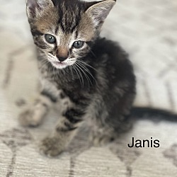 Photo of Janis