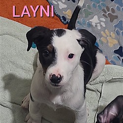 Photo of Layni