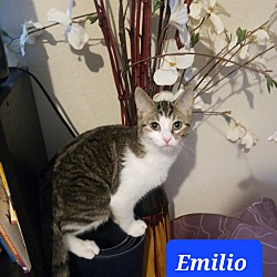 Thumbnail photo of Emilio #2