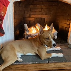 Photo of Eddie