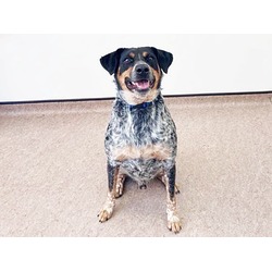 Photo of ZEUS