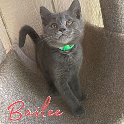 Photo of Bailee