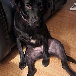 Photo of Lila