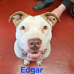 Thumbnail photo of Edgar #3