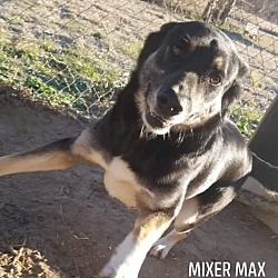 Thumbnail photo of Mixer Max #2