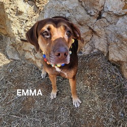 Thumbnail photo of Emma #2