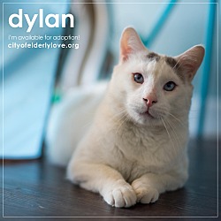 Thumbnail photo of DYLAN! #4