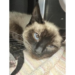 Photo of XENA